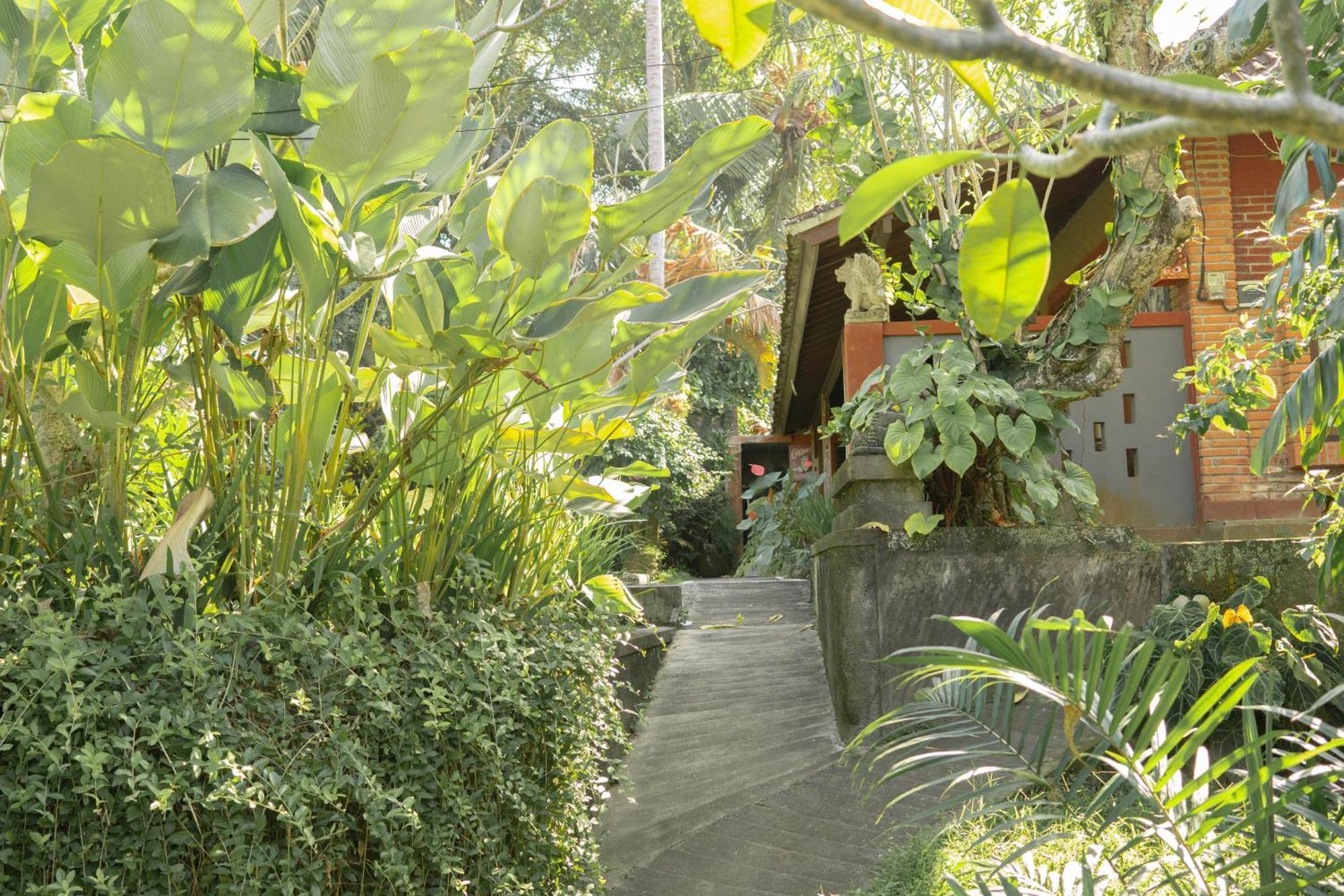 Bramasa Ubud Guest House Zewnętrze zdjęcie